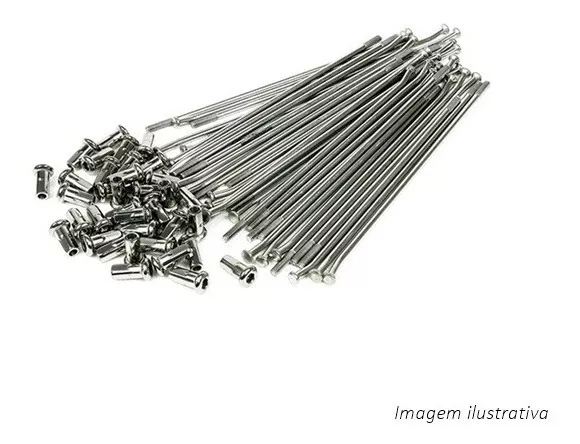 Raio Dianteiro Inox Honda XR250 Tornado D...